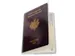 Etui de protection pour passeport 2 volets PVC