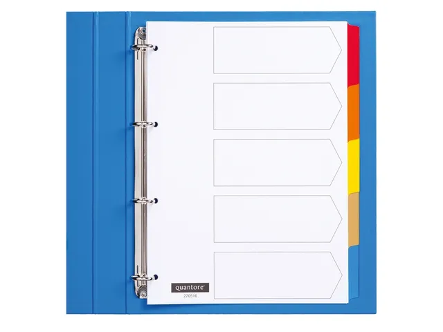 Tabbladen Quantore 4-gaats karton 5-delig wit gekleurde tabs