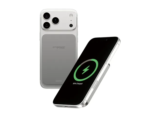 PanzerGlass empower by empower Bank | 5000mAh | Titanium, 500