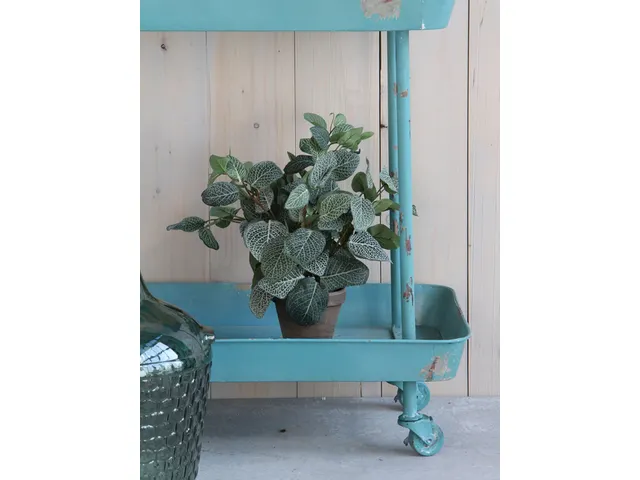 Kunstplant Mica Pilea in pot Ø11,5cm 35x25cm