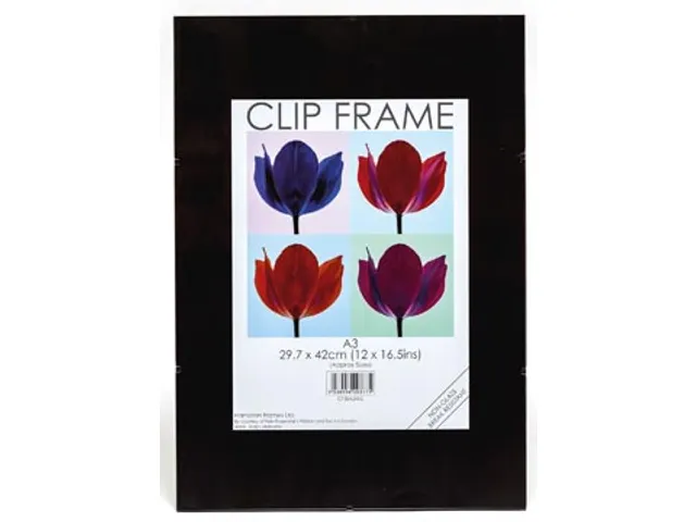 TPAC fotokader met clips, ft A3