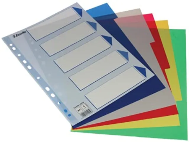 Esselte Intercalaires 5 Onglets