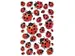 étiquette en papier Z-design Creative 3 feuilles coccinelles