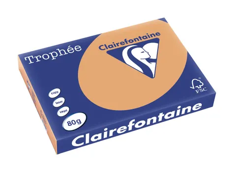 Trophée Pastel gekleurd papier A3 80 gram 500vel Caramel bruin