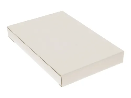 Brievenbusdoos Raadhuis wit EG 255x160x28mm krimp a 25 stuks