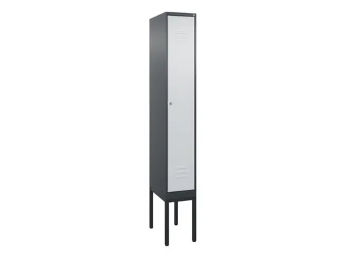 locker,HxBxD 2120x300x500mm,1vak,vak B 300mm,cil.-slot,voetonderstel
