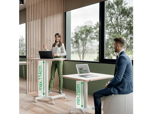Leitz Ergo Zit-Sta bureau Mobiel 80x60cm klein