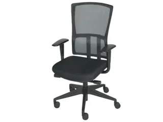 Bureaustoel 300 NEN-EN 1335 Mesh rug zwart kunststof voetkruis Zwart - 1