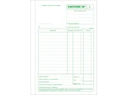 Manif Factuur/btw 21 x14,8 50bl dupli FR