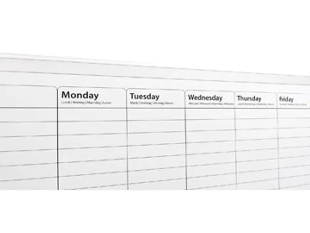 Magnetische Weekplanner 60x90cm