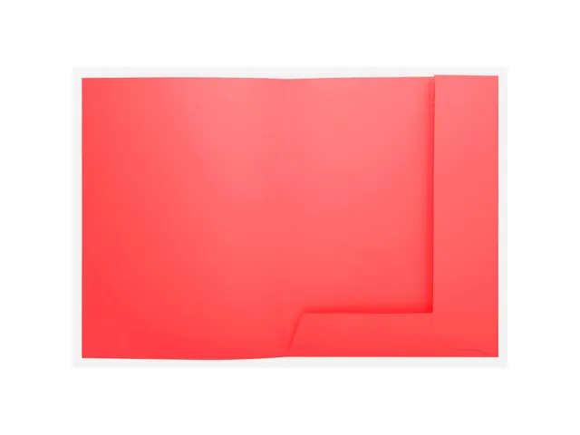 50 dossiermappen met 2 kleppen SUPER 250 24x32cm-Rood
