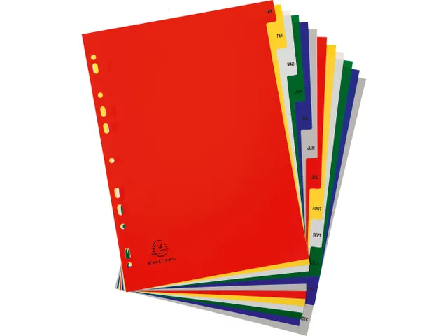 Bedrukte Tabbladen A4+ Jan-dec Assorti Pp 0.12mm 12-delig 11-gaats(FR)