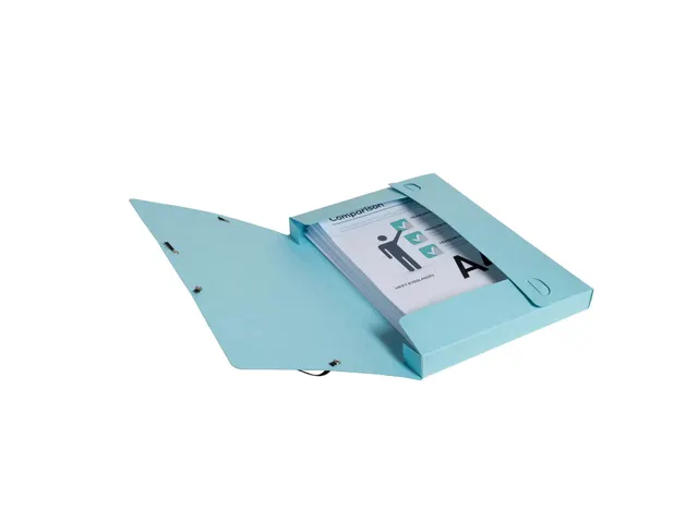 Cartobox Archiefdoos R25mm Aquarel geas