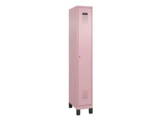 locker voor scheiding van kleding,HxBxD 1950x300x500mm,1vak - 2