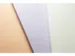 Carnet de notes Pure Croco A5 ligné 5 couleur 80gramme 160 pages 2 ru