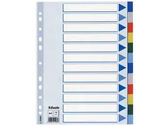 Esselte Tabbladen A4 12-Delig 11-Gaats