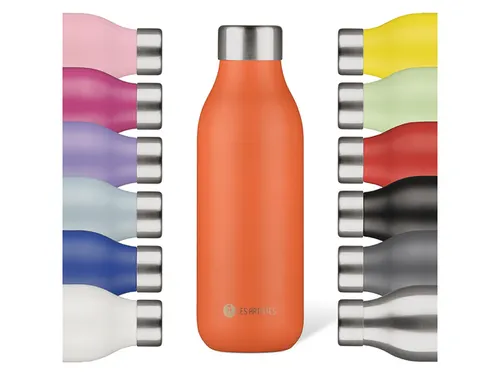 Thermosfles 2.0 Les Artistes Paris 500ml Spice