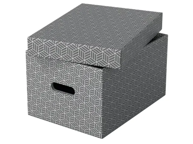 Boîte de rangement Esselte Home Medium 265x205x365mm gris 3pcs