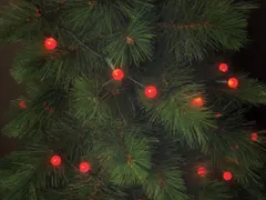 Cherry Light LED - 12m - 120 Rode Lampjes - Groene Draad - 24 V