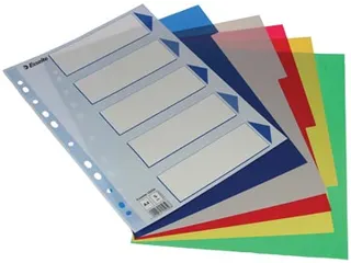 Esselte Tabbladen 5 Tabs - 2
