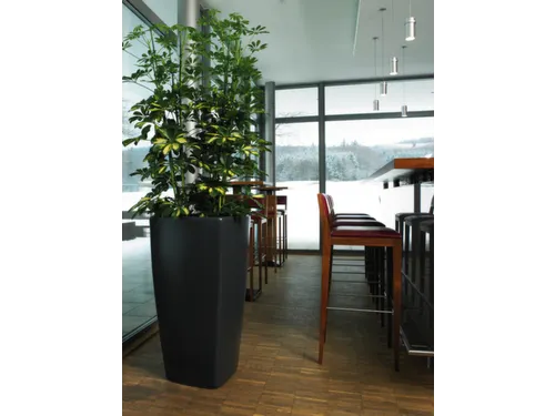 plantenpot,trapeziumvormig,PE,antracietgrijs,HxBxD 900x470x470mm,38l