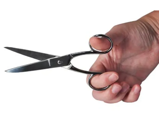 Schaar 15 Cm, Verchroomd, Symmetrische Ogen