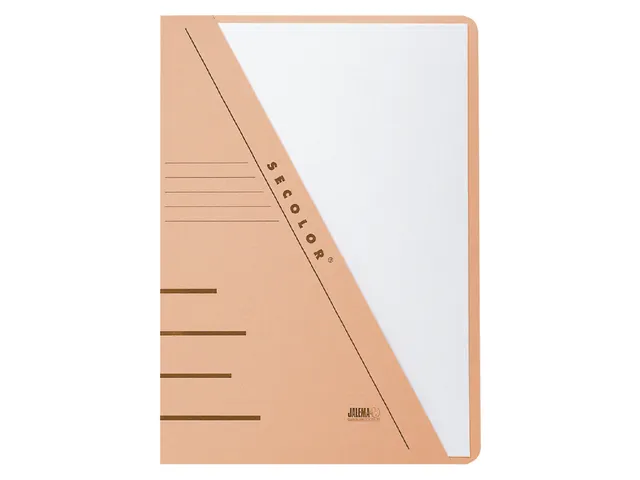 Insteekmap Djois Secolor A4 recycled 250gr chamois