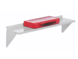 Stalen Legbord Voor Gesleufde Platen Lxd 950X220Mm Lichtgrijs
