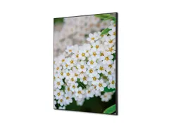 Wanddecoratie Textiel Set A2 Witte Bloem Spirea