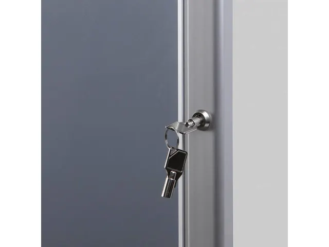 Vitrine porte-affiches Economy verrouillable 70x100cm argent