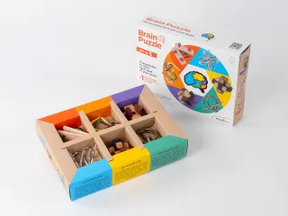 Brain Puzzles - set of 6 - 3