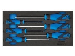 1500 CT1-2163 TXB Schroevendraaier in module voor controlegereedschap