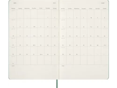 Agenda 2027 Msk Plan Week large hc sage green
