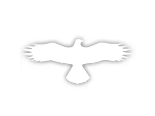 sticker,Buizerd,PVC,wit,zelfklevend,HxB 145x367mm - 1
