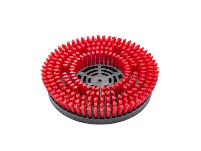 Schijfborstel,v. schrobzuigmachine,middel,Ø 200mm,rood