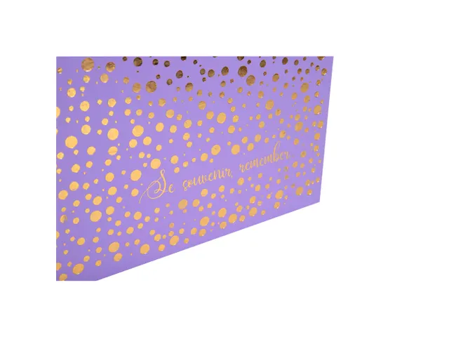 Alb livre 60p blanc 29x32cm Plum' Violet