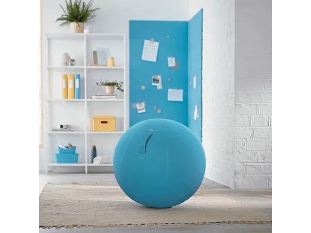 Leitz Ergo Cosy Actieve Zitbal Fluweel Sereen Blauw