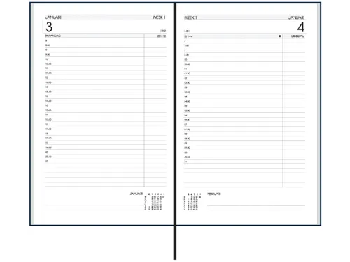 Agenda 2027 Ryam Efficiency Baladek 1dag/1pagina bordeaux