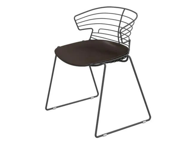 Outdoor Bezoekersstoel Draad-Zitschaal Sledepoten Antraciet Gelakt