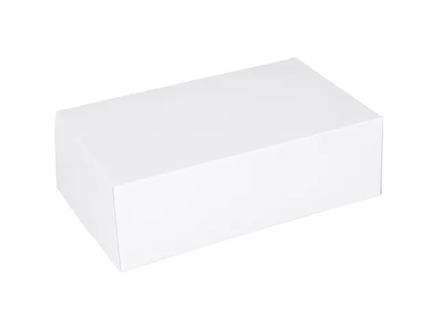 Gebaksdoos karton duplex 24x16x8cm wit 300 stuks