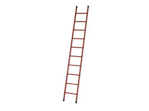 Aanlegladder Bomen/sporten Glasvezel L 2 99M 10Sporten