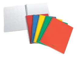 Schrift Aurora 105x160mm ruit 5x5mm 240 pagina's 60gr assorti