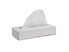 Facial Tissue Zakdoekje Eco Cellulose 2-laags Wit doos 40x100 stuks