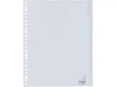 Tabbladen Kangaro A4 23-gaats G405FM 5-delig+venster grijs PP