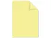 Papier Kangaro A4 160gr paquet de 100 feuilles pastel assorti