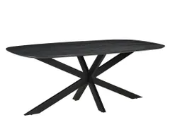 Vergadertafel Harper Deens Ovaal 200x100cm Zwart blad met Spinpoot