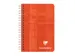 Carnet de notes Clairefontaine 95x140mm ligné spirale 180 pages assor