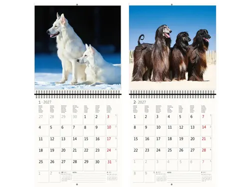 Kalender 2027 Helma 365 30x30cm honden