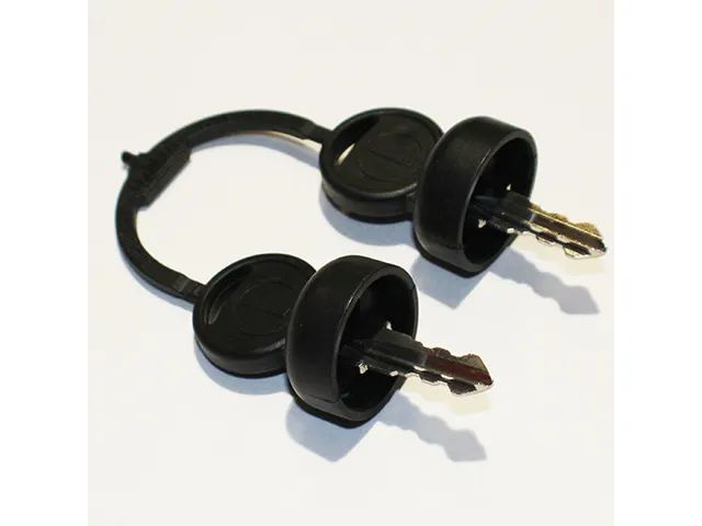 Sleutels 1462887000 set a 2 stuks