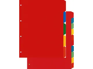 Tabbladen Kangaro A4 4-gaats PE405 5-delig assorti karton - 3